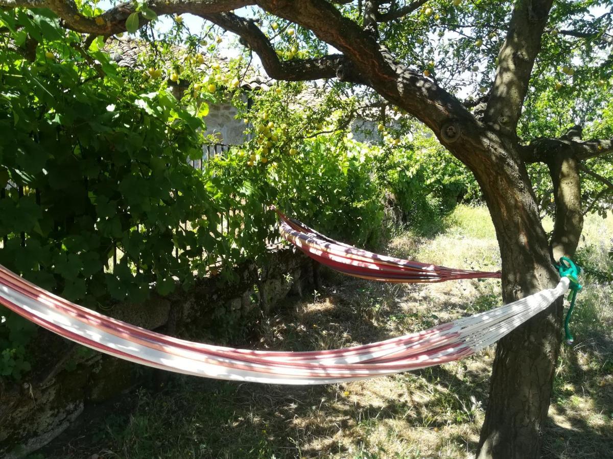 Bed and Breakfast Solar Dos Carvalhos Sernancelhe Экстерьер фото