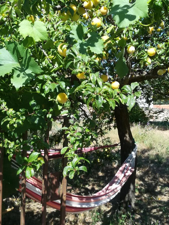 Bed and Breakfast Solar Dos Carvalhos Sernancelhe Экстерьер фото